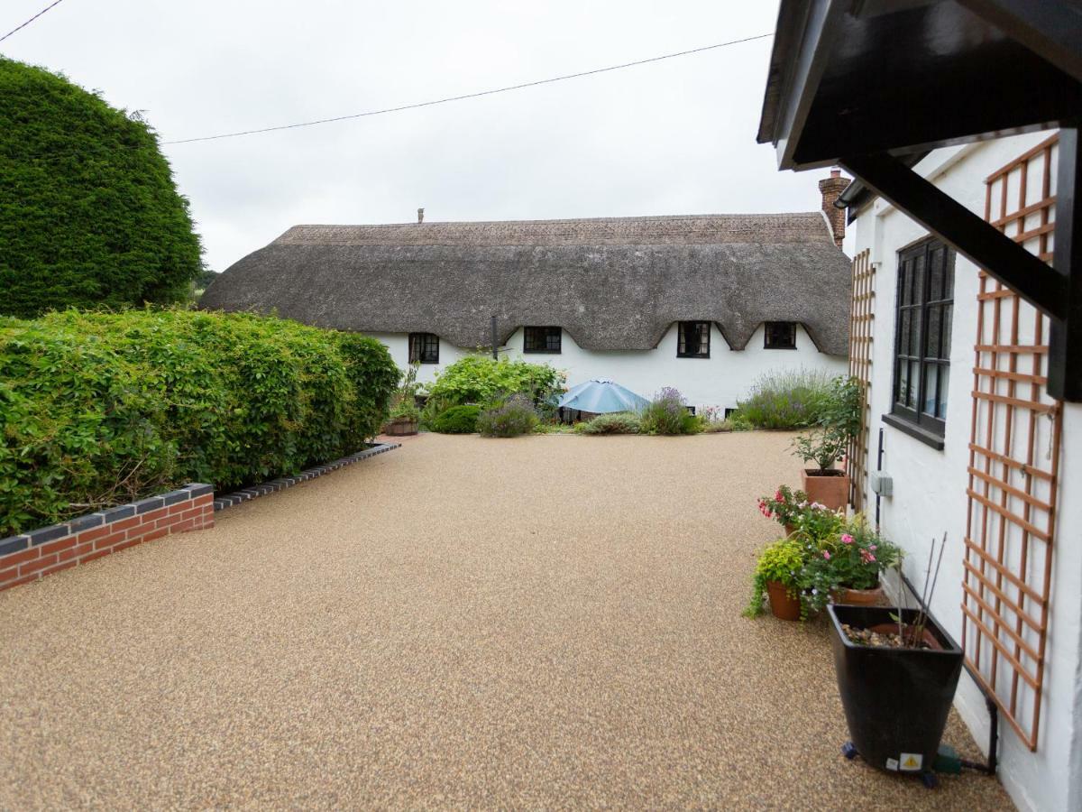 Little England Cottage Milborne Saint Andrew Zewnętrze zdjęcie